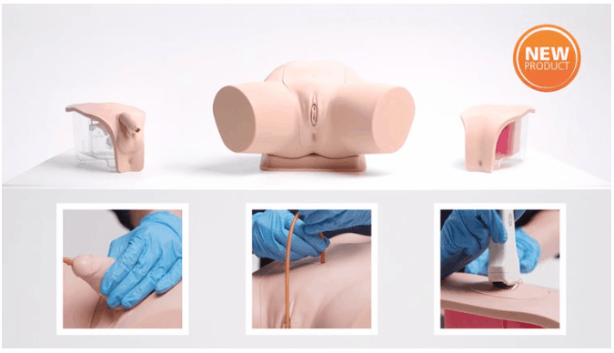 New product range: Catheterization Trainer Range